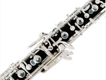NEW Fox Professional Model 300 Resin Oboe