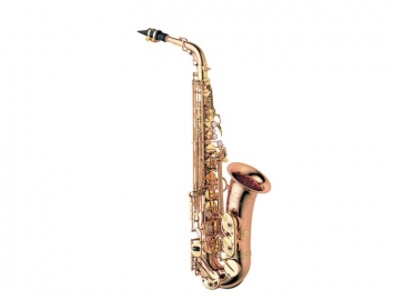 New Yanagisawa AWO20 Series Bronze Pro Alto Saxophone