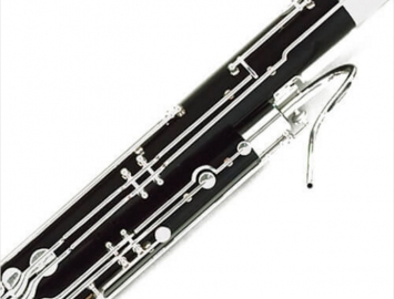 NEW Fox Professional Model IV Bassoon