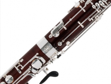 NEW Fox Renard Model 240 Artist Maple Short Bore Bassoon
