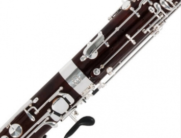 NEW Fox Renard Model 220 Artist Maple Long Bore Bassoon