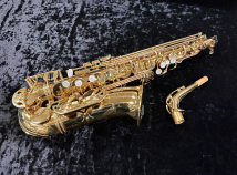 Trevor James SR Series Alto Sax in Gold Lacquer, Serial #T8941 - Lightly Played