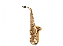 New Yanagisawa AWO10 Series Professional Alto Saxophone